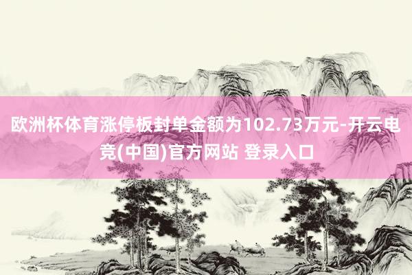 欧洲杯体育涨停板封单金额为102.73万元-开云电竞(中国)官方网站 登录入口