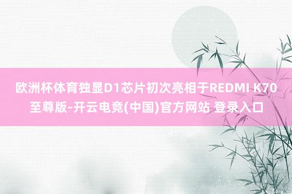 欧洲杯体育独显D1芯片初次亮相于REDMI K70至尊版-开云电竞(中国)官方网站 登录入口