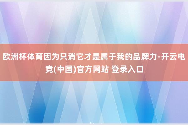 欧洲杯体育因为只消它才是属于我的品牌力-开云电竞(中国)官方网站 登录入口