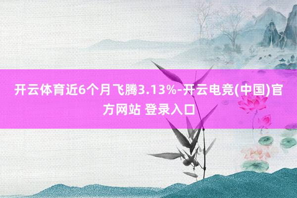 开云体育近6个月飞腾3.13%-开云电竞(中国)官方网站 登录入口