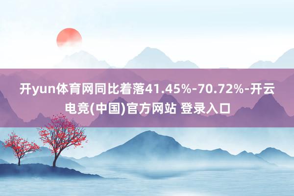 开yun体育网同比着落41.45%-70.72%-开云电竞(中国)官方网站 登录入口