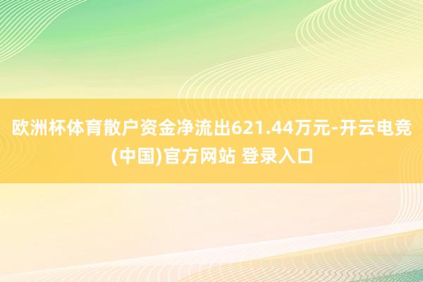 欧洲杯体育散户资金净流出621.44万元-开云电竞(中国)官方网站 登录入口